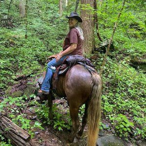 Meet your Posher, Kimberly